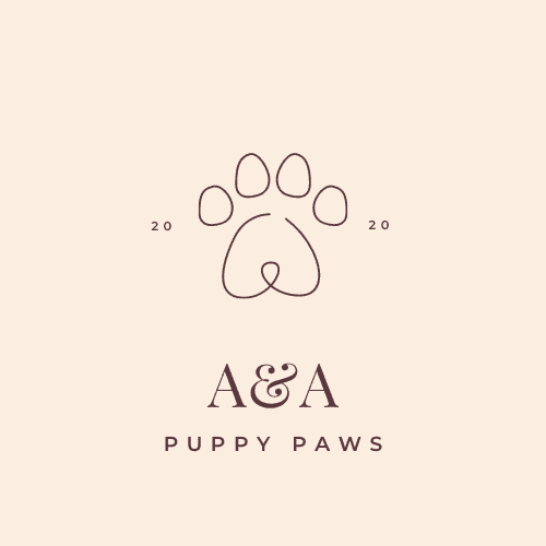 A and A Logo
